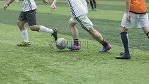 郭新娃陈芳卉勇夺全英羽毛球公开赛混双冠军