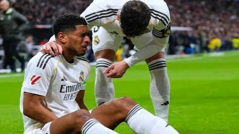 药企争相引进佳夫补位塔神，转会费或破百万欧元